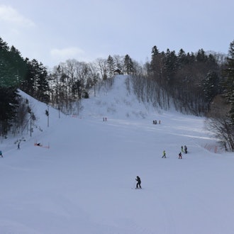 [相片1][滑雪課程]在北海道，在體育課上有一個可以滑雪的區域。西興部村的小學和初中老師和學生一起來滑雪。滑雪板留在滑雪勝地的小屋裡。Shiokoppe的電梯是用一隻手抓住把手，把杠鈴放在腰上，然後爬上去風格有
