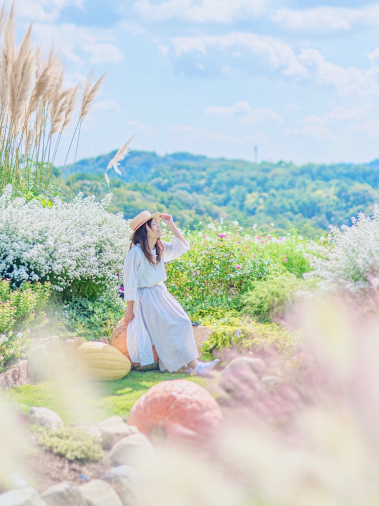 [이미지1]히로시마 세라조(히로시마의 추천 명소)#세라 고원 꽃의 숲 👈 @serahananomori 🌹 가을 장미와 꽃밭은 11/5까지꽃 숲에서 햇살을 쬐는 조각 📸기분 좋은 가을 햇살이었