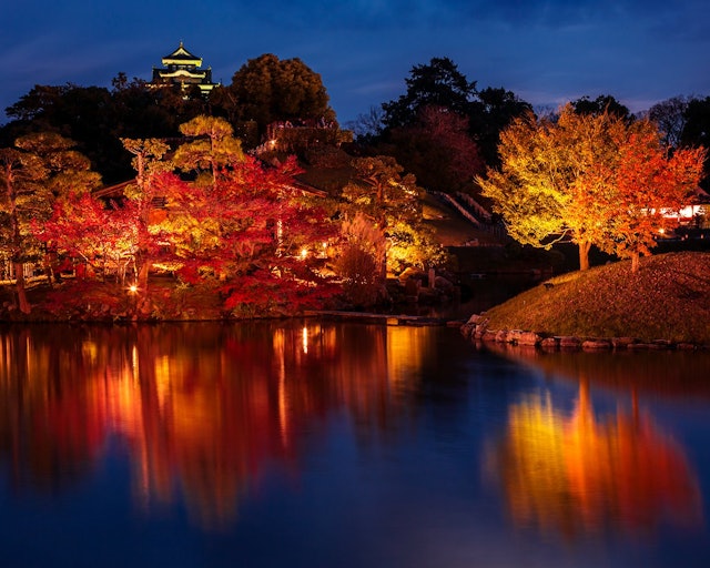 [画像1]岡山市にある日本三名園の一つ岡山後楽園。 秋のライトアップイベイトで紅葉が綺麗でした。