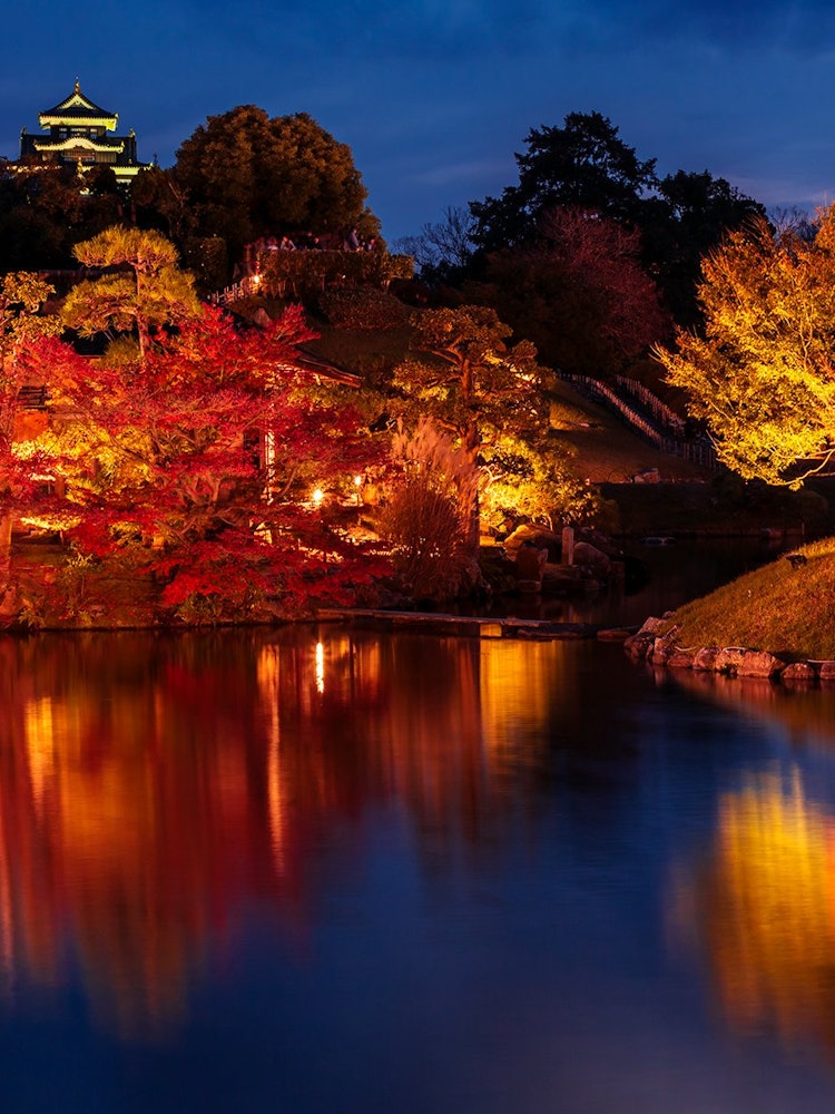 [相片1]冈山后乐园，冈山市日本三大名园之一。 秋天的树叶在秋天点亮的白鹭中很漂亮。