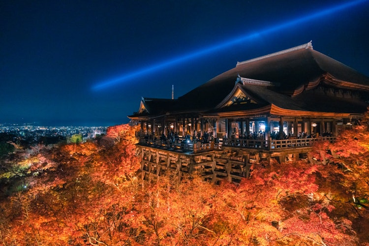[Image1]【Kiyomizu-dera Temple】Lit up.