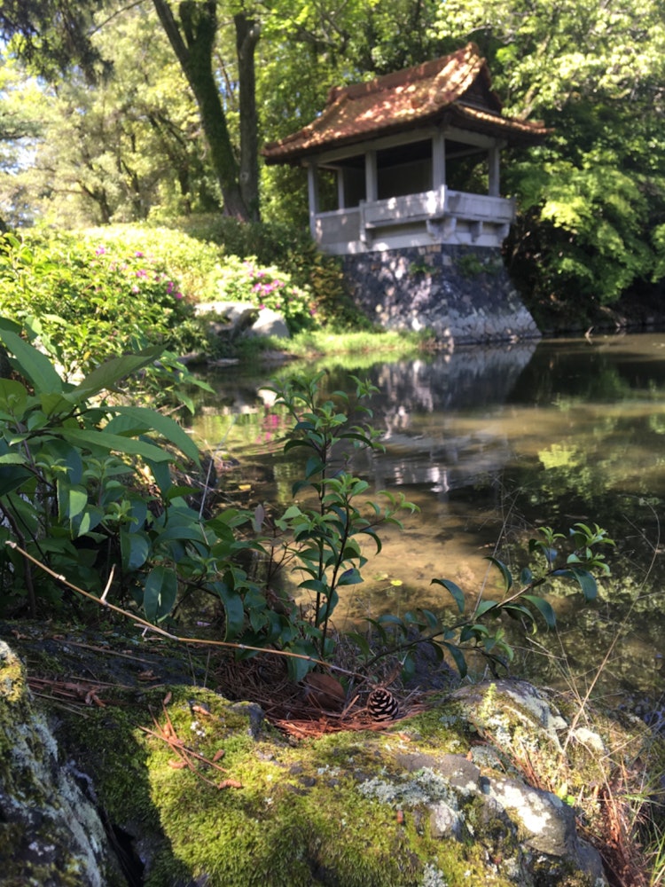 [相片1]我們去了香川縣高松市的栗林公園。 在廣闊的土地上有一個日本庭園，非常漂亮。