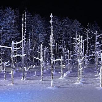 [Image2]Hokkaido winter limitedTake advantage of the holiday to come to 