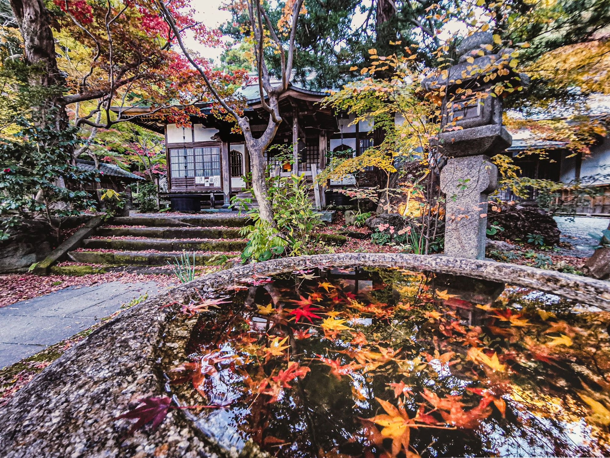 T Tさんの投稿｜水鉢に映える鎌倉  覚園寺の紅葉。｜【鎌倉市】【神奈川県】【覚園寺】【紅葉】【絶景】【秋】【神社】【自然】【観光】【フォトコンテスト】｜日本の魅力発信インバウンドSNS「クールジャパンビデオ」