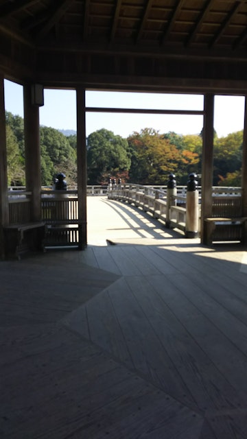 [画像1]京都に住んでいた時、よく奈良にも遊びに行ってました。鹿がたくさんいる奈良公園の中にある、浮見堂です。池の上にぽつんと建てられている珍しいお堂で、一般人も無料で立ち入ることができます。 お堂に入ると、辺