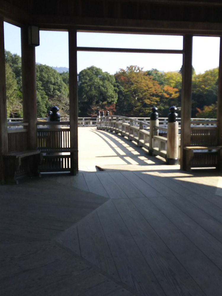 [相片1]当我住在京都时，我经常去奈良。这是奈良公园的一个浮动大厅，那里有许多鹿。这是一个罕见的建在池塘上的大厅，公众可以免费进入。 当您进入大厅时，您会在周围池塘中的水的帮助下感到神清气爽。 我在初秋时节访问