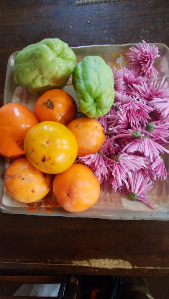 [Image1]These are persimmons, melons, and edible chrysanthemums from the kitchen garden. The shades are wond