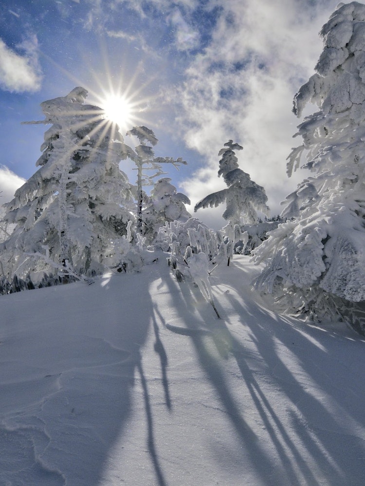 [이미지1]샤이닝 스노우 몬스터이렇게 많이 자란 얼음 나무를 촬영한 것은 처음이었습니다.이 사진은 태양의 빛과 함께 찍었습니다.위치: 나가노현