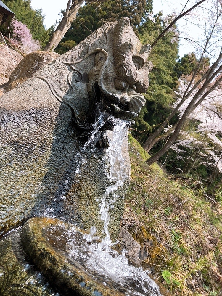 [Image1]It is spring water in early spring in the countryside of Yamagata.#Nature #Photo Contest