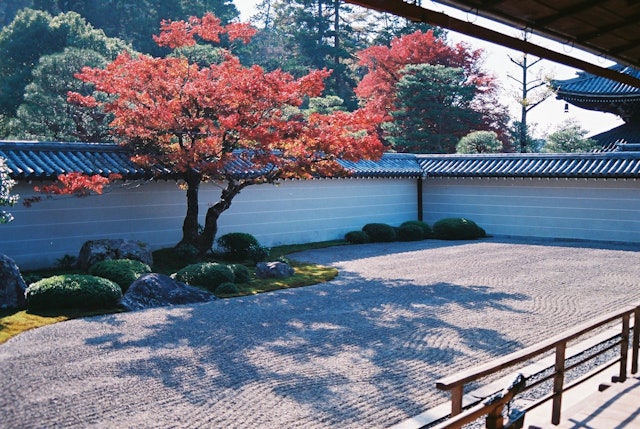 [画像1]京都南禅寺の方丈庭園。 一面紅色の紅葉もいいですが庭園との組み合わせも新鮮で綺麗でした。