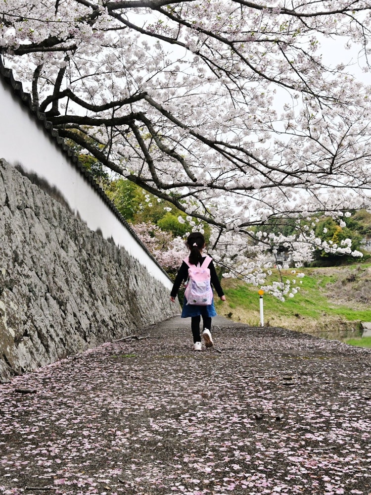 [Image1]Shooting location: Kumyoji Temple in Saijo City, Ehime PrefectureA girl walking along the path of ch