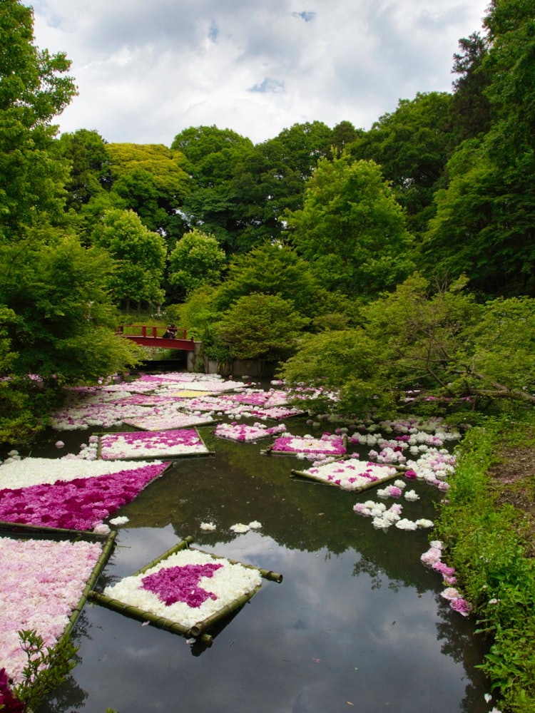 [Image1]Tsukuba Peony GardenThe flower raft is beautiful. There is no doubt that it is Instagrammable.