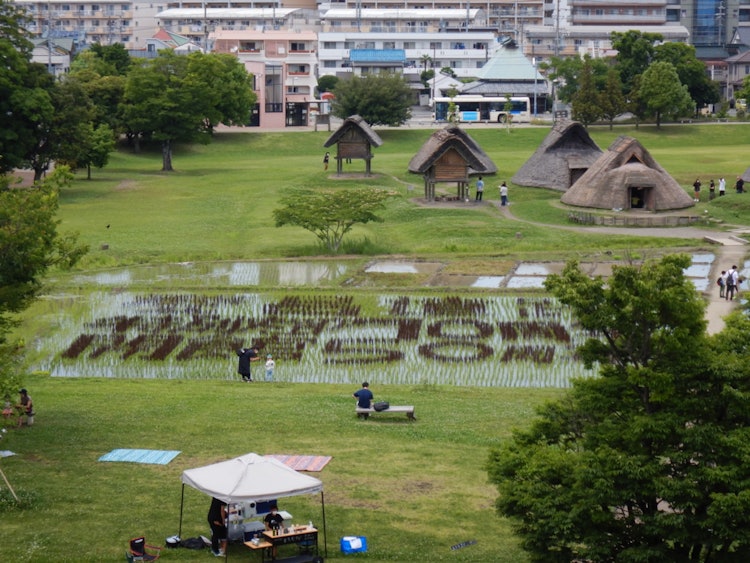 [相片1]這是我去靜岡縣靜岡市的「Toro遺址」做大學報告時的照片！登呂遺址是彌生時代的聚落和稻田遺址，被指定為國家指定史跡！ !️你為什麼不去這個可以突然看到住宅區古建築的地方呢？ 😊