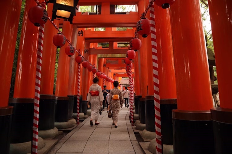 [Image1]This is a photo of a friend at the Fushimi Inari Taisha Shrine in Kyoto. I hope that the kimono, whi