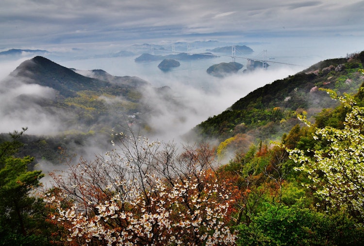 [이미지1]촬영 장소: 에히메현 이마바리시 카메로산안개가 솟아나다 있는 시마나미 카이도