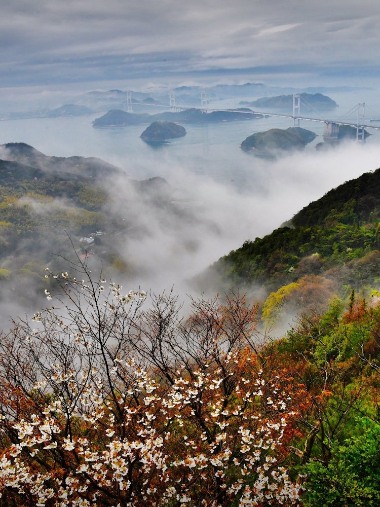 [画像1]撮影場所：愛媛県今治市の亀老山霧がかかる春のしまなみ海道