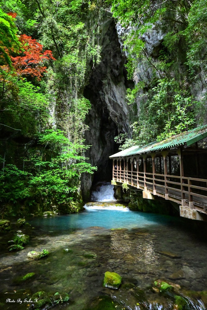 [Image1]Akiyoshido Cave 2023.05.04Akiyoshido Cave, one of Japan's one of the best limestone caves, opens at 