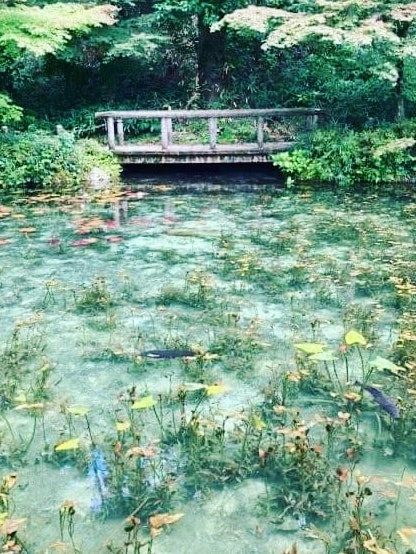 [Image1]Monet's pond/Gifu Monet's pond/GifuI visited here on the last day of my first family trip in Gifu Pr