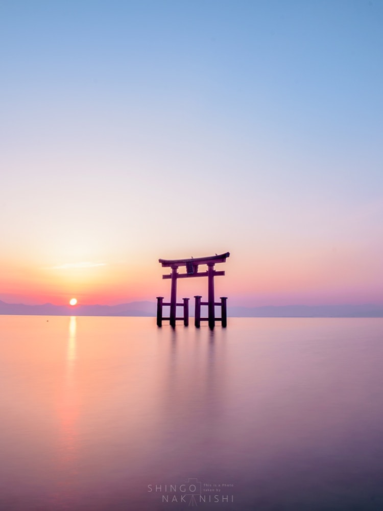 [相片1]滋賀縣白峨神社的水下鳥居。矗立在琵琶湖上的鳥居前的清晨陽光非常美麗。在冬季，您可以在良好的位置看到早晨的陽光和鳥居。