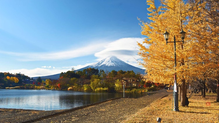 [相片1]几乎每个可以看到富士山的地方对我来说都是风景如画的，无论是我的工作场所还是我家的屋顶或任何旅游景点。我不止一次访问过河口湖，但这次旅行令人难忘。在这个阳光明媚的秋天早晨，我第一次看到富士山上空的荚状云
