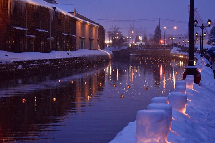 [相片1]小樽雪灯道节是北海道非常有名的冬季旅游景点。许多当地人自愿工作，以维护这条小径的美丽。运河在祭典期间也被照亮。这是我难忘的北海道之旅之一。
