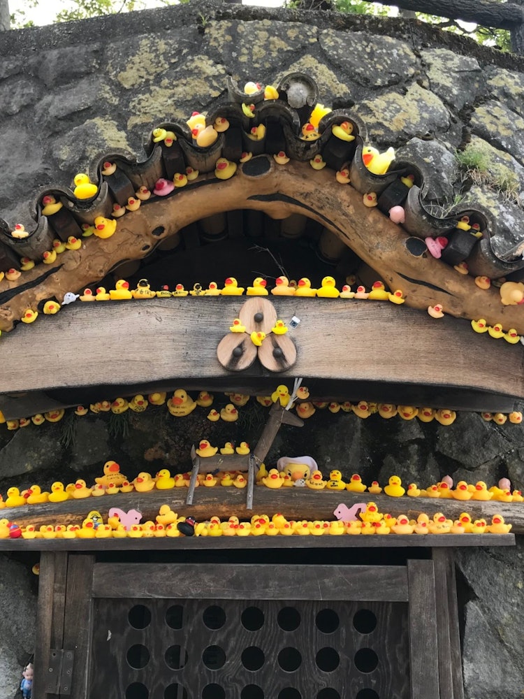 [Image1]I found a lot of ducks in the stone steps of Ikaho.They must be offering prizes such as shooting nea