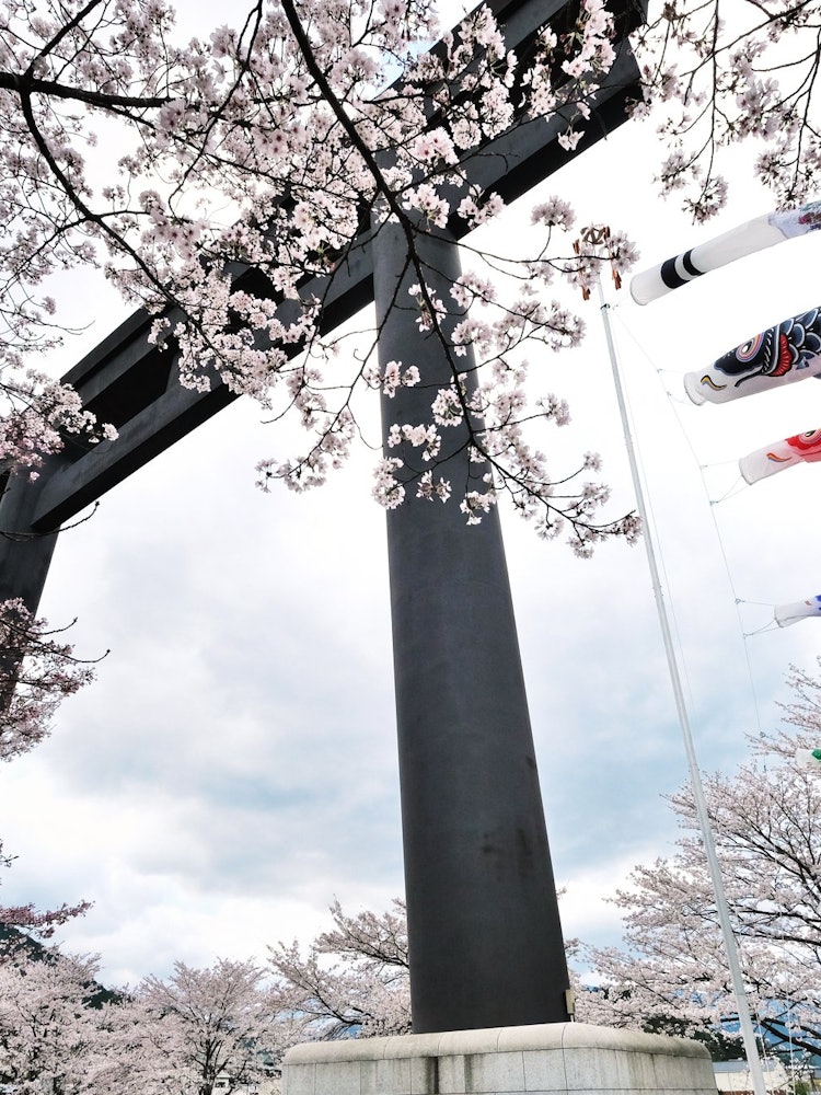[Image1]Koi streamers swimming with the large Torii (shrine gate) gate in spring
