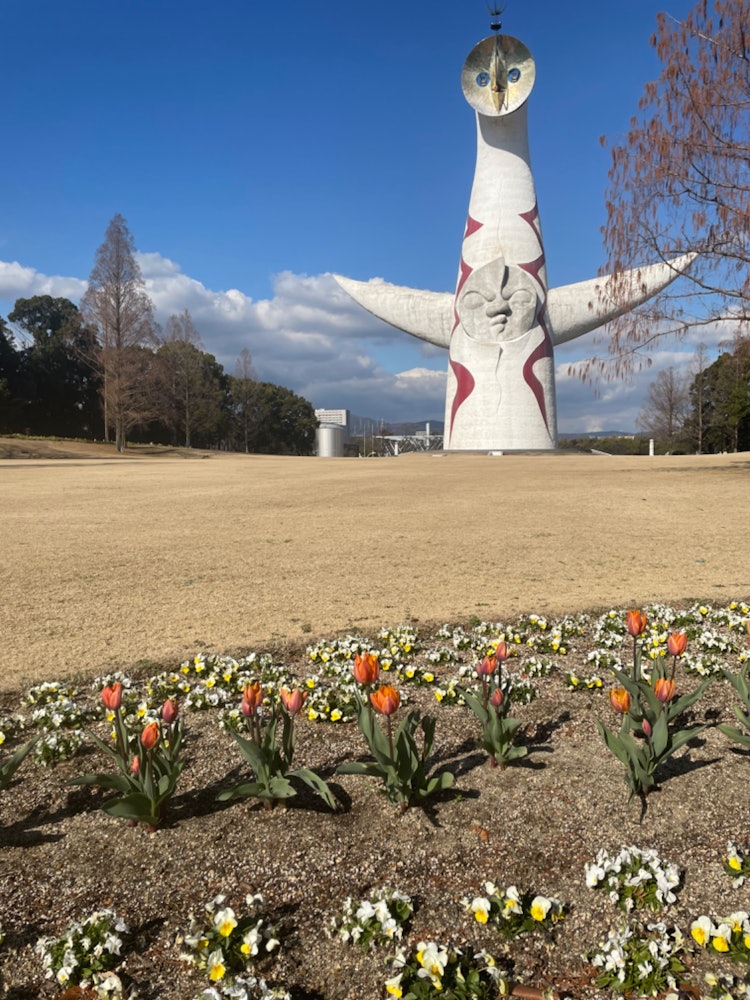 [Image1]These are the Tower of the Sun and Ice Tulips in Osaka Expo Memorial Park.