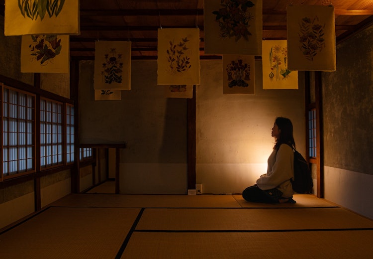 [相片1]奈良縣奈良町 這也是一個充滿氛圍的城市景觀，豪宅😀之旅非常好。