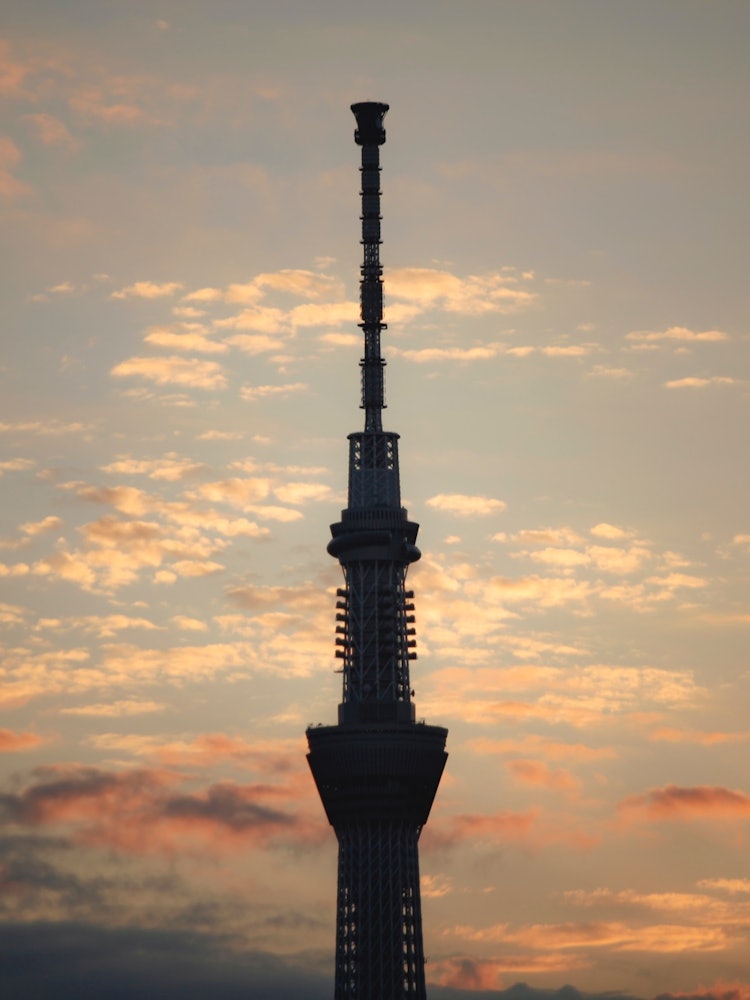 [Image1]Up the Sky Tree and the autumn sky.I think that the scenery that you can't see without walking has m
