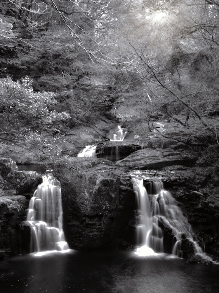 [画像1]三重県 赤目四十八滝にある赤目五瀑[荷担滝]４月で滝の水量があまりないにも関わらず、目を 心を 奪われ日本の美を感じた。