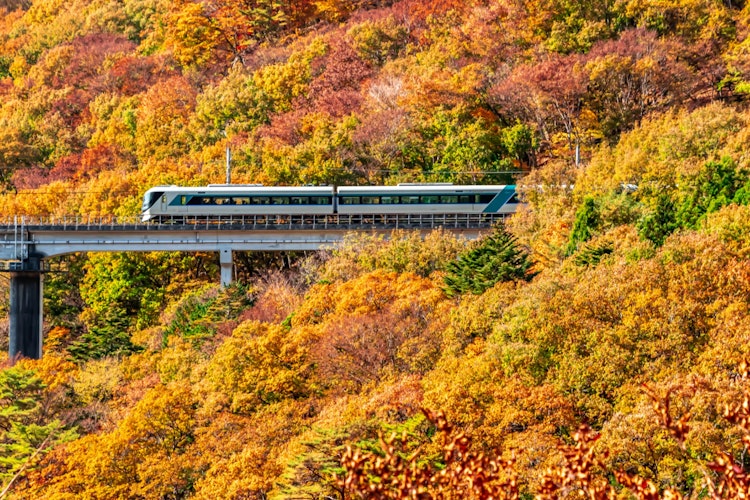 [相片1]这张照片是在栃木县日光市的川地温泉附近拍摄的。这是秋叶×东武铁路的合作！