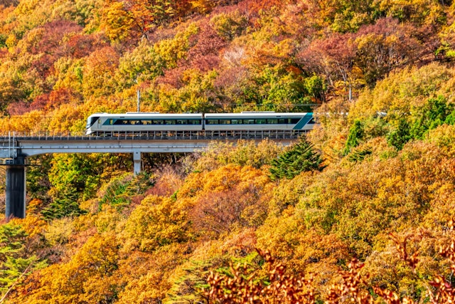 [画像1]栃木県日光市 川治温泉付近で撮った一枚です。紅葉×東武鉄道のコラボです！