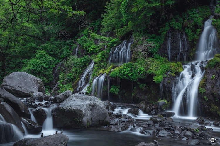 [相片1]瀑布负离子暑假来了拍摄于山梨县北斗市
