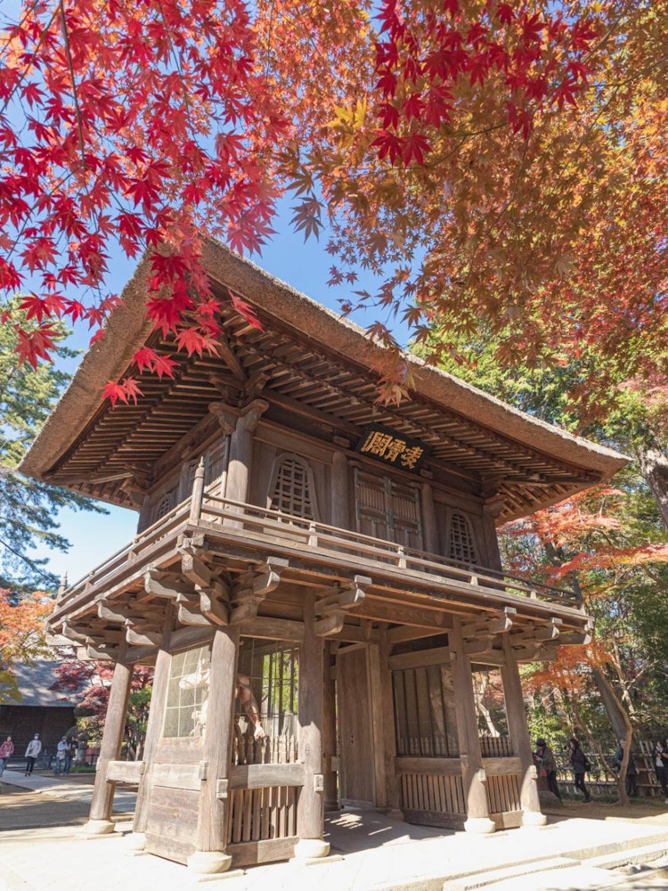 [Image1]Heirinji Temple wrapped in autumn leavesThis is located in Niiza City, Saitama Prefecture　　　　　　　　　　　