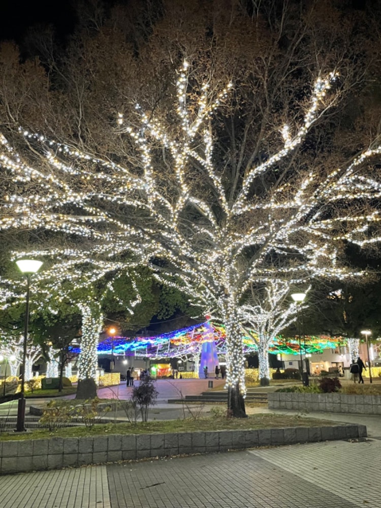 [Image1]Christmas Light UpIn Yamaguchi