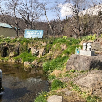[Image2]If you go out to Kyogokucho Park (ふきだし園) in Niseko on holidays, you can drink delicious spring water