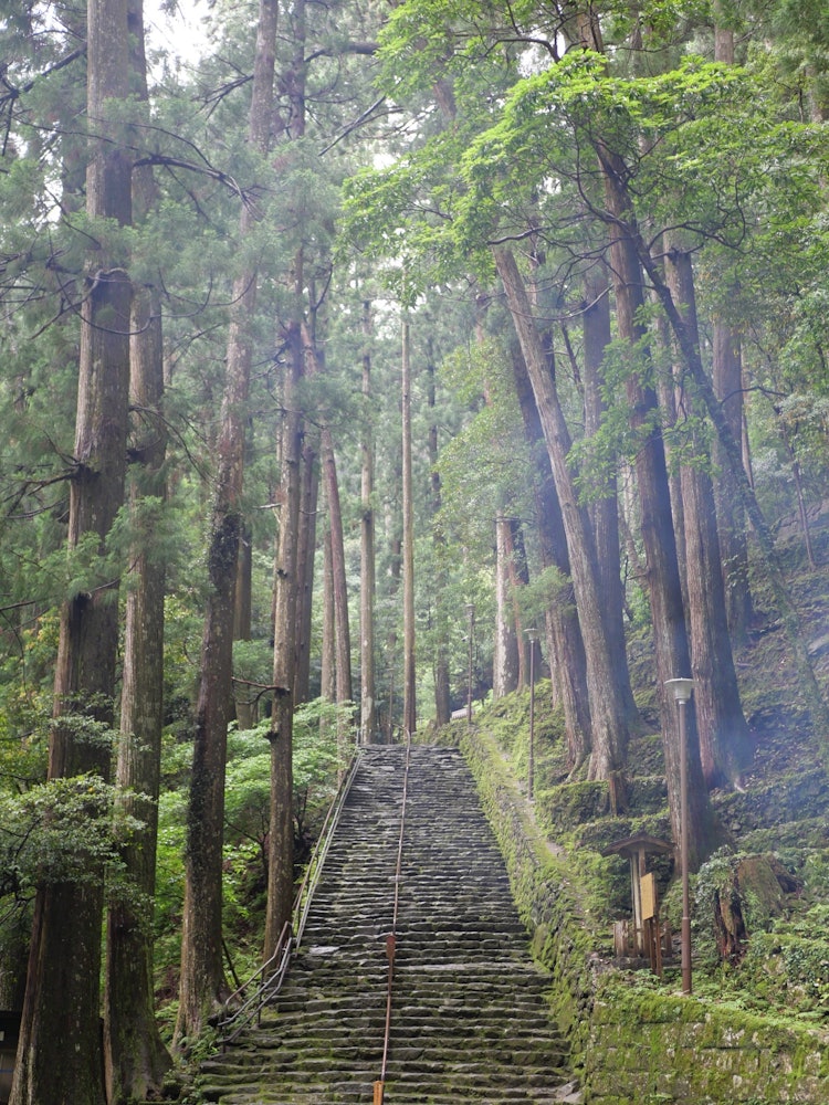 [Image1]I went to Nachi in Wakayama!The stairs were 😳 very beautiful.It was 😅 foggy and a little cold.