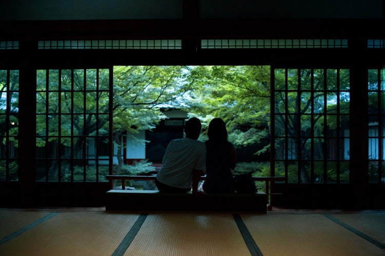 [画像1]大人も恋する、京都です。---建仁寺。潮音庭（ちょうおんてい）。青紅葉の庭に吸い込まれていく二人でした。