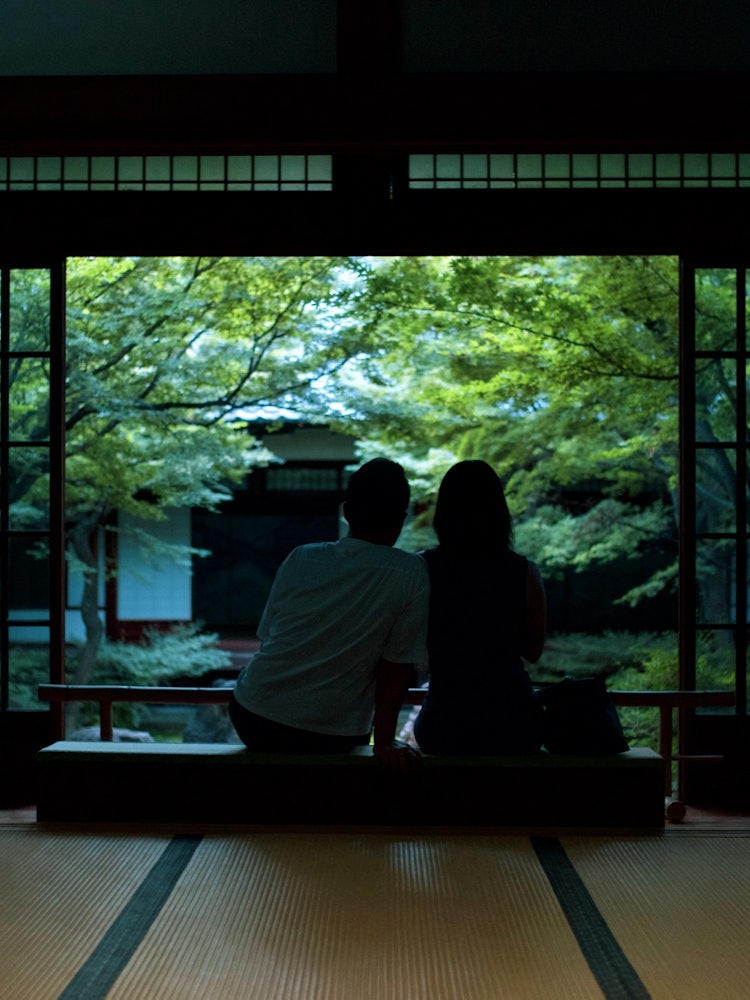 [相片1]成年人也愛上了京都。---建仁寺。春園。他們被吸進了藍葉花園。