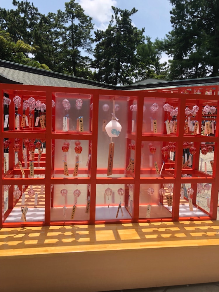 [相片1]许多风铃挂在红色的木框上，就像神社的风铃节✨鸟居一样，每次风过，都会响起非常优美的音调🎐✨。