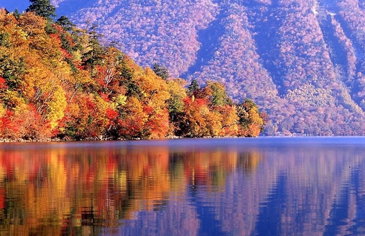 [Image1]Nikko, the autumn leaves of Lake Chuzenji.It is also reflected on the surface of the lake and has a 