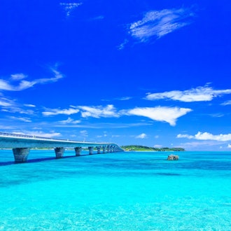 [Image1]So that you can choose Miyakojima as a travel destination that will be a memory of your lifetime, we