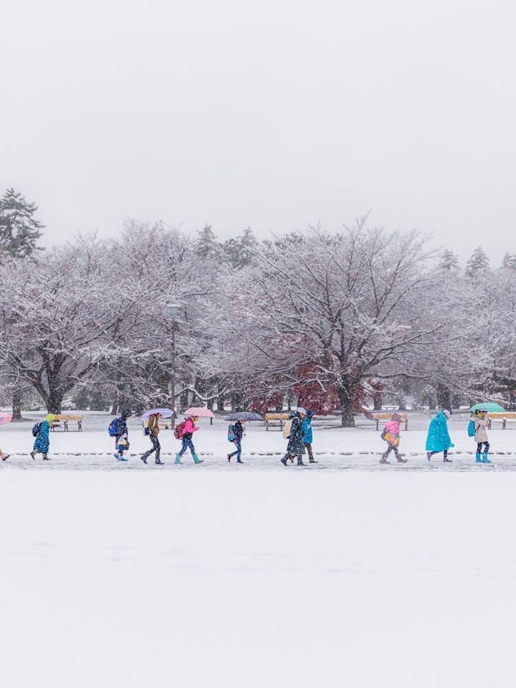 [Image1]Group attendance at school on a snowy day. Colorful rain gear was shining in the snowy landscape.