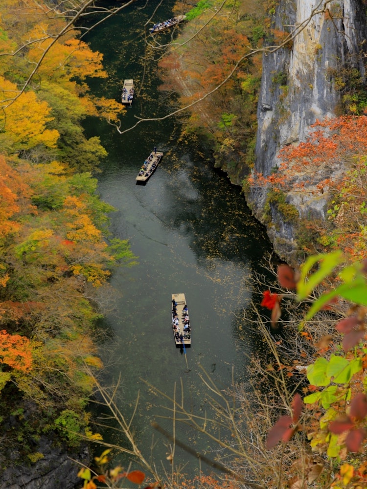 [Image1]This is the autumn foliage scenery of the Kinhana Valley in Ichinoseki City, Iwate Prefecture. Xiang