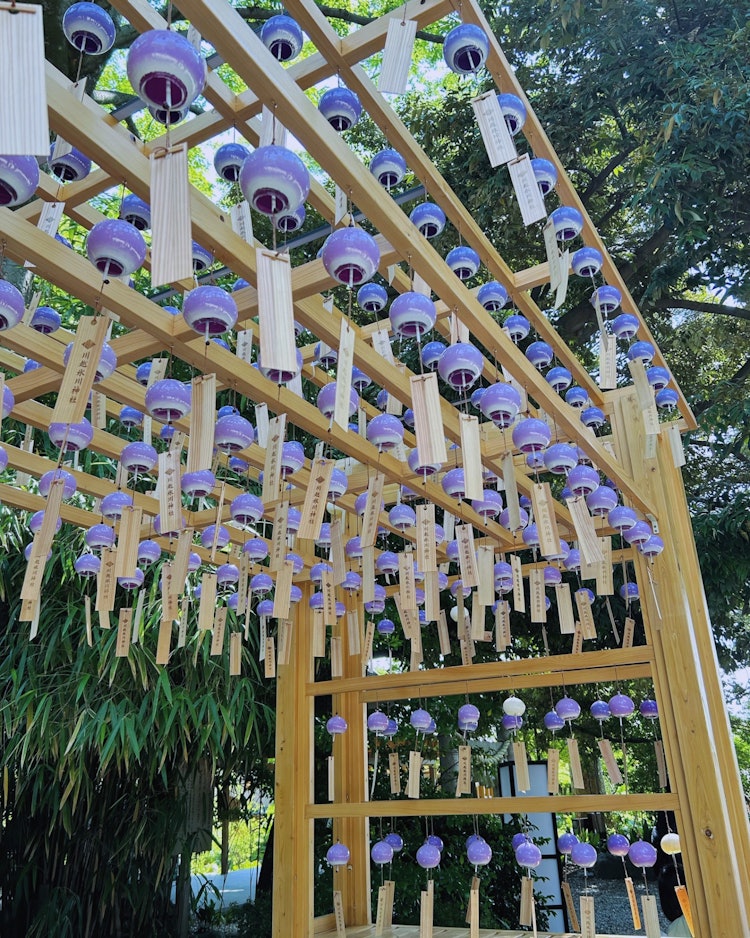 [相片1]是川越日川祠堂的淡紫色和淡紫色的风铃。在7月1日的祈祷中，它已经被移除了。
