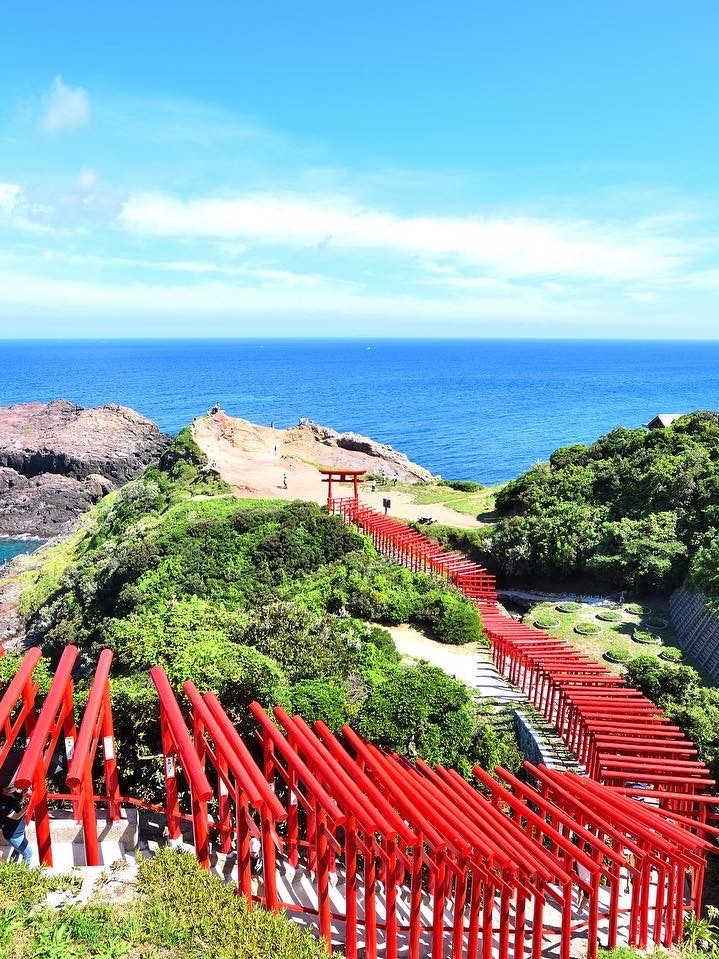 [Image1]📍 Yamaguchi / Motonosumi InariThe many torii gates are a masterpiece.It was ✨ nice to see the sea on