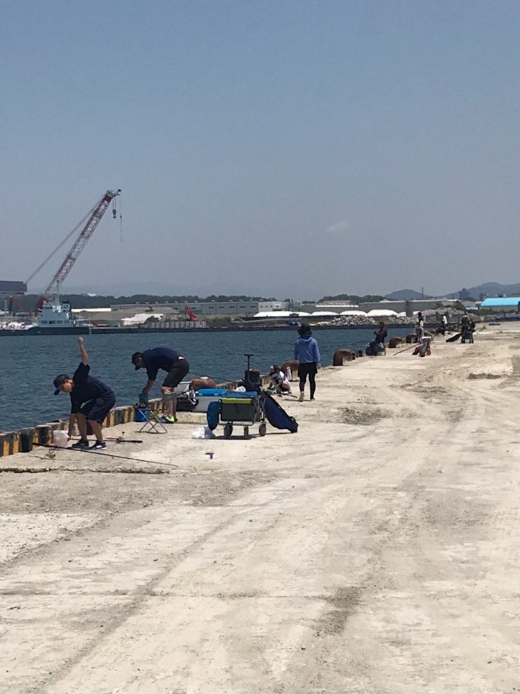 [Image1]On a sunny day, many people were 🎣 fishing at the port of Wakayama Saikazaki.
