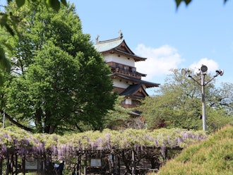 [Image2]When I went to Takashima Castle around Golden Week, students from a local junior high school came to