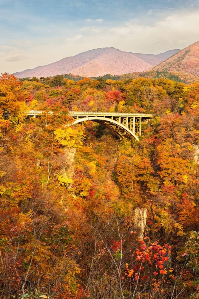 [相片1]被日出照亮的回顧橋 🍁這是宮城縣的“回顧橋”這座橫跨鳴子峽谷的橋，從觀景臺上可以看到，彷彿被紅葉包裹著。在夏天，新鮮的綠色植物。 秋天是紅葉，是一年四季觀賞😆紅葉的最佳時間地點名稱：宮城縣
